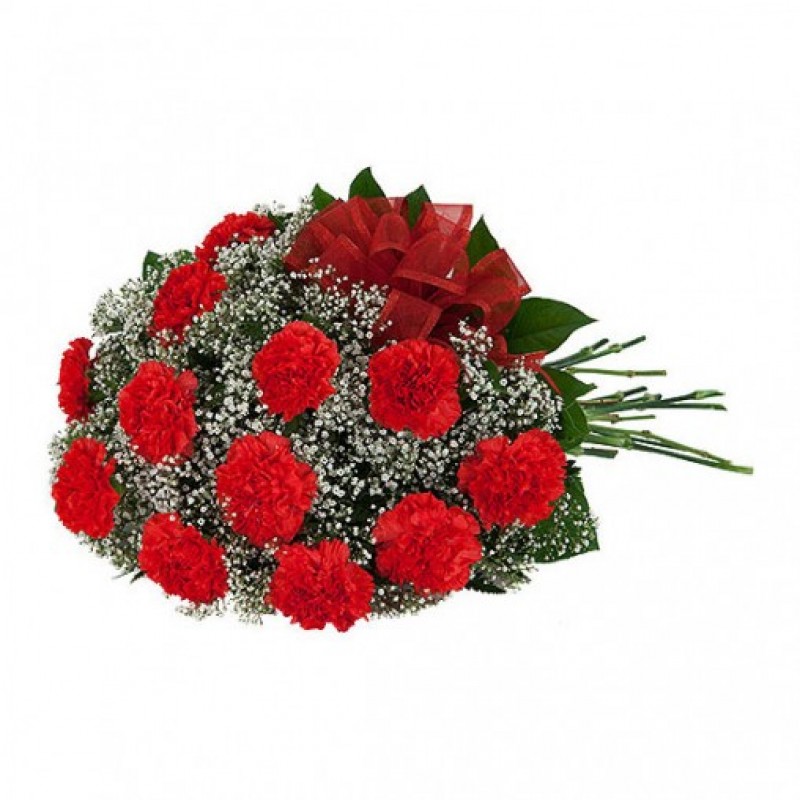 12 Red Carnations